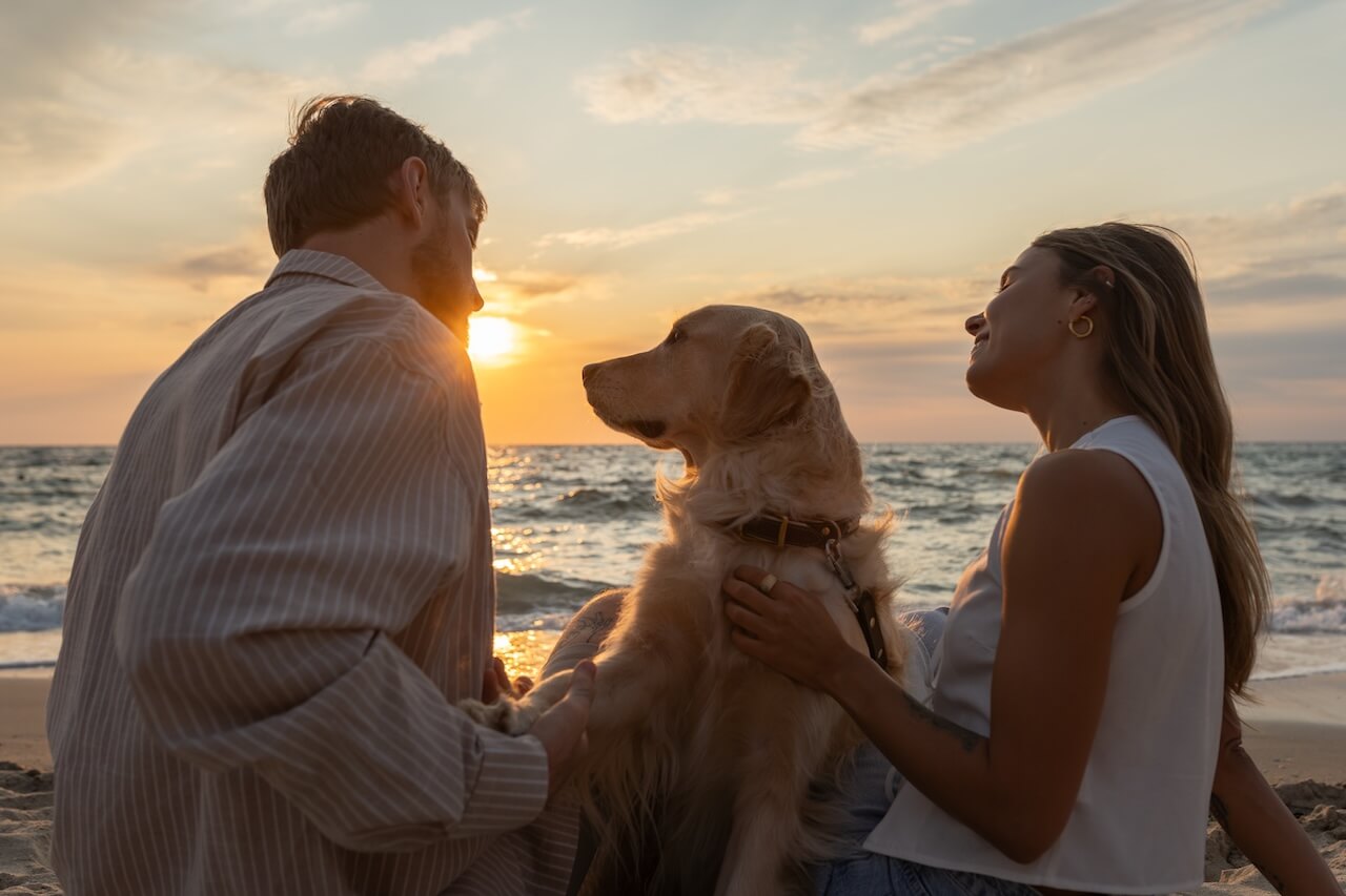 pet clinic In Myrtle Beach, SC