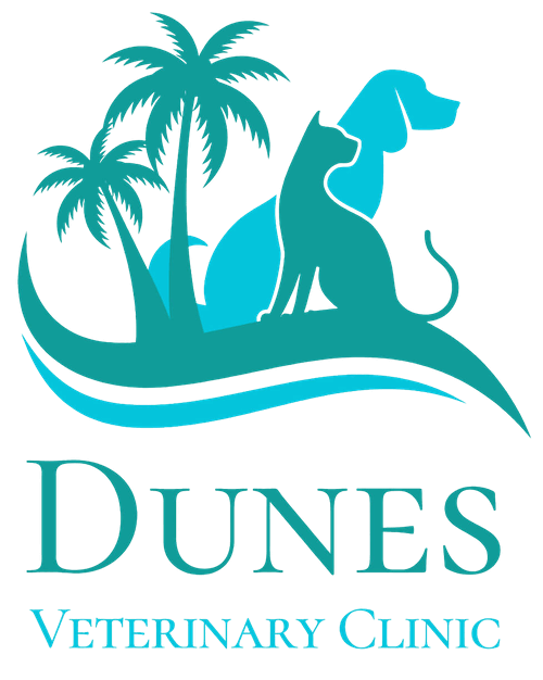 Dunes Veterinary Clinic